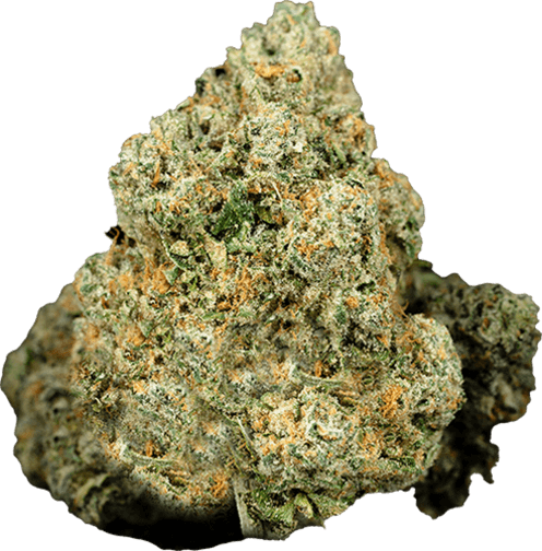 Alien Breath image 1